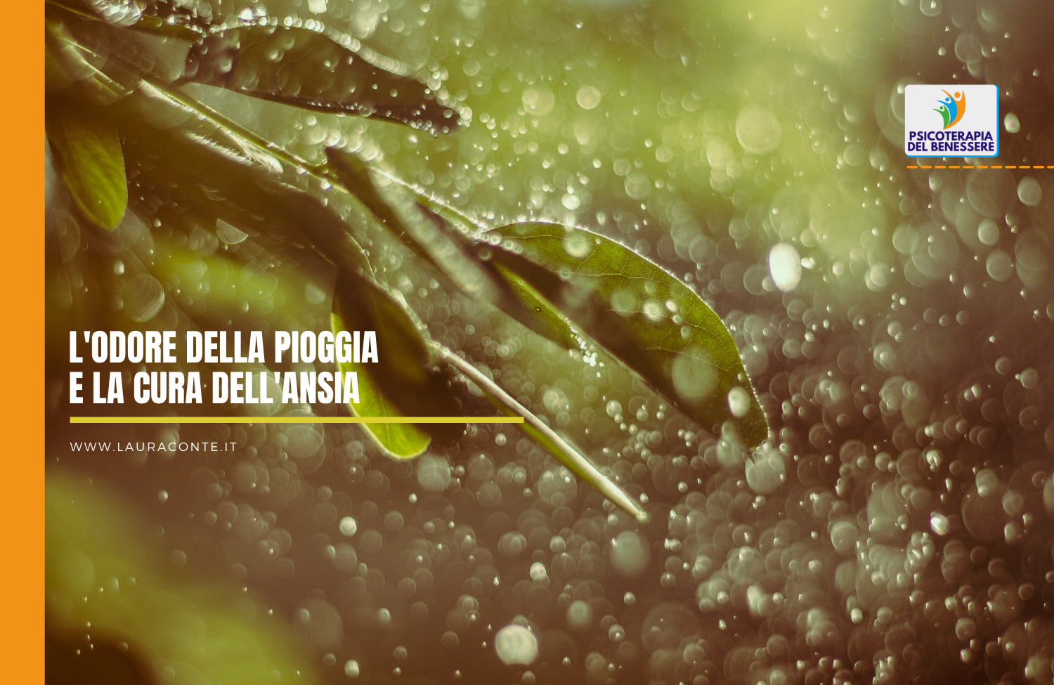 l'odore della pioggia e la cura dell'ansia